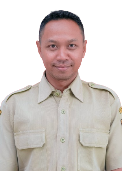 Adi Ariadi Aviariadi, S.T.